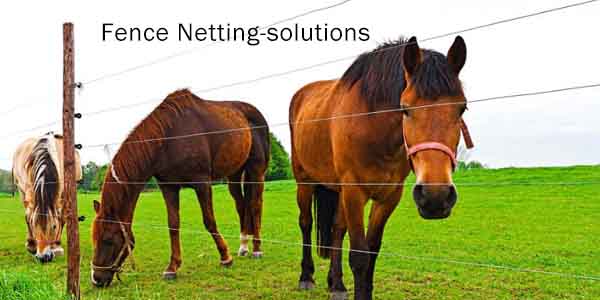 Fence Netting-solutions1.jpg